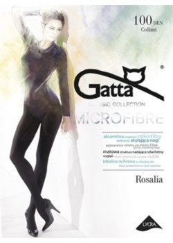 Микрофибърни чорапогащи в цвят графит ROSALIA 100 DEN GRAFIT