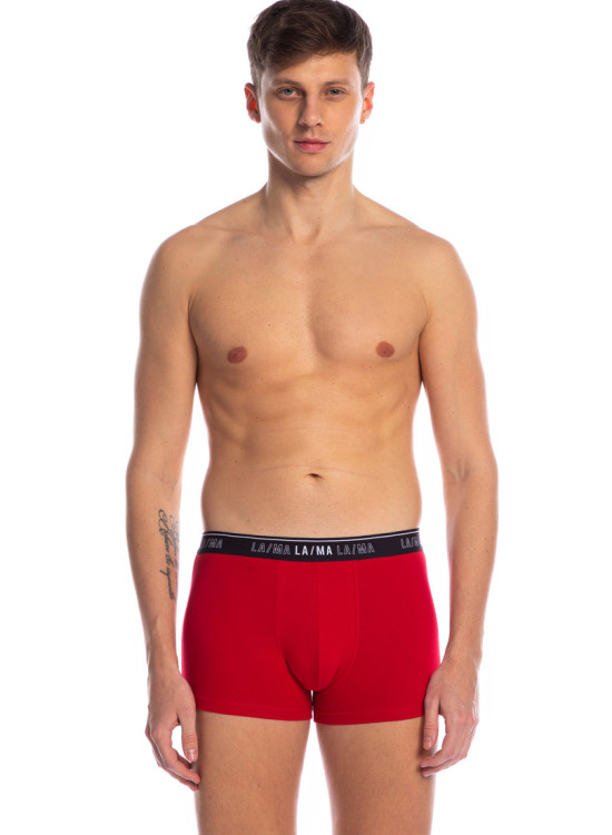 Комплект от 3 броя памучни мъжки боксерки M-1021SZG-Боксерки-LadyStyle.bg